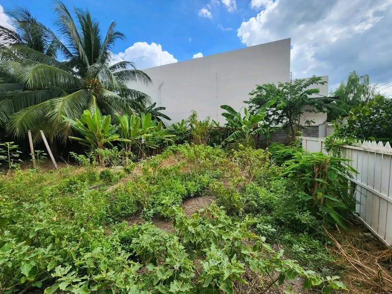 รามอินทรา, Bangkok, Ram Inthra, Khan Na Yao, Bangkok, , 796 sqm, Land For Sale, by Chekchanok Chuaynual, 500618370 - DDproperty.com