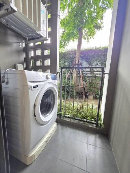 Chambers On-Nut Station, Bangkok, Soi Sukhumvit 81, Sukhumvit Road, Phra Kanong Nua, Watthana, Bangkok, 1 Bedroom, 27 sqm, Condo For Rent, by Ulaiwan Boonsiri, 500618441 - DDproperty.com