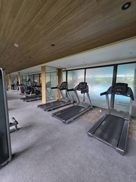 Chambers On-Nut Station, Bangkok, Soi Sukhumvit 81, Sukhumvit Road, Phra Kanong Nua, Watthana, Bangkok, 1 Bedroom, 27 sqm, Condo For Rent, by Ulaiwan Boonsiri, 500618441 - DDproperty.com
