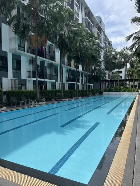 iCondo Sukhumvit 105, Bangkok, 20  Soi Lasalle 19,  Sukhumvit 105 Road, Bang Na, Bangkok, 1 Bedroom, 31 sqm, Condo For Sale, by พิชาพัทธ์ เพิ่มศิริทรงรัฐ (คุณพิชา), 500618531 - DDproperty.com