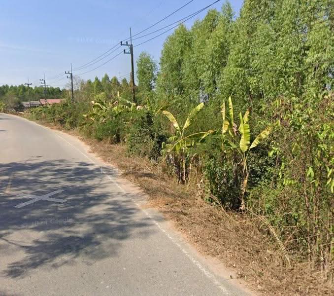Land for sale in Na Wang Hin, Phanat Nikhom District: 3 rai, located in Soi Ban Noen School, Chon Buri (Pattaya), Na Wang Hin, Phanat Nikhom, Chon Buri (Pattaya), , 4,800 sqm, Land For Sale, by RICHWELL INTERPLUS, 500618621 - DDproperty.com