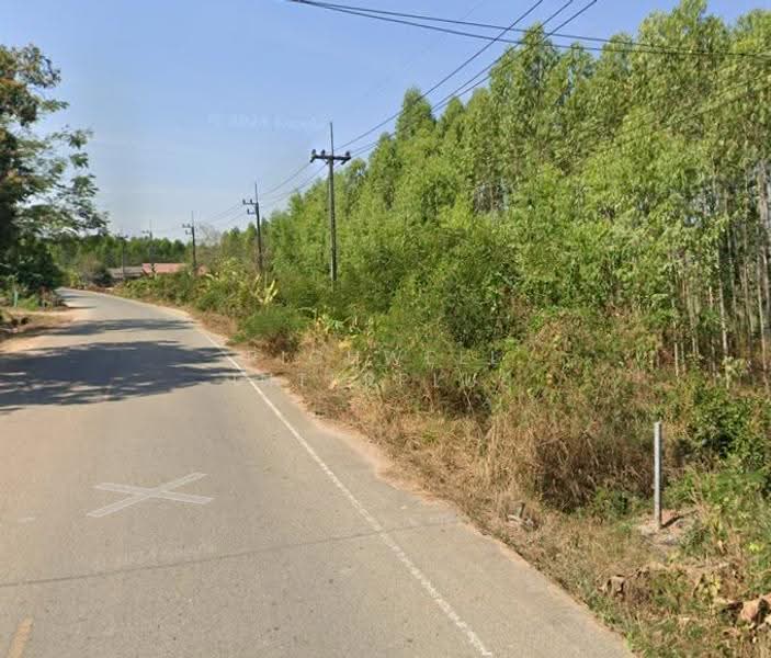 Land for sale in Na Wang Hin, Phanat Nikhom District: 3 rai, located in Soi Ban Noen School, Chon Buri (Pattaya), Na Wang Hin, Phanat Nikhom, Chon Buri (Pattaya), , 4,800 sqm, Land For Sale, by RICHWELL INTERPLUS, 500618621 - DDproperty.com