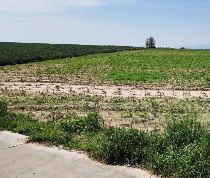 Land for sale in Pluak Daeng, 9 Rai, Soi Map Yang Phon 7; located 1.6 km from Road 3013, Rayong, Mapyangphon, Pluak Daeng, Rayong, , 15,480 sqm, Land For Sale, by RICHWELL INTERPLUS, 500618632 - DDproperty.com