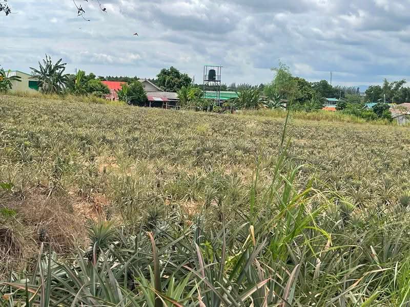 47-rai plot of "Purple-Striped" (industrial-zoned) land for sale on Soi Map Yang Phon 22, Rayong, Mapyangphon, Pluak Daeng, Rayong, , 75,664 sqm, Land For Sale, by RICHWELL INTERPLUS, 500618654 - DDproperty.com