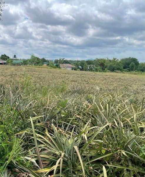 47-rai plot of "Purple-Striped" (industrial-zoned) land for sale on Soi Map Yang Phon 22, Rayong, Mapyangphon, Pluak Daeng, Rayong, , 75,664 sqm, Land For Sale, by RICHWELL INTERPLUS, 500618654 - DDproperty.com