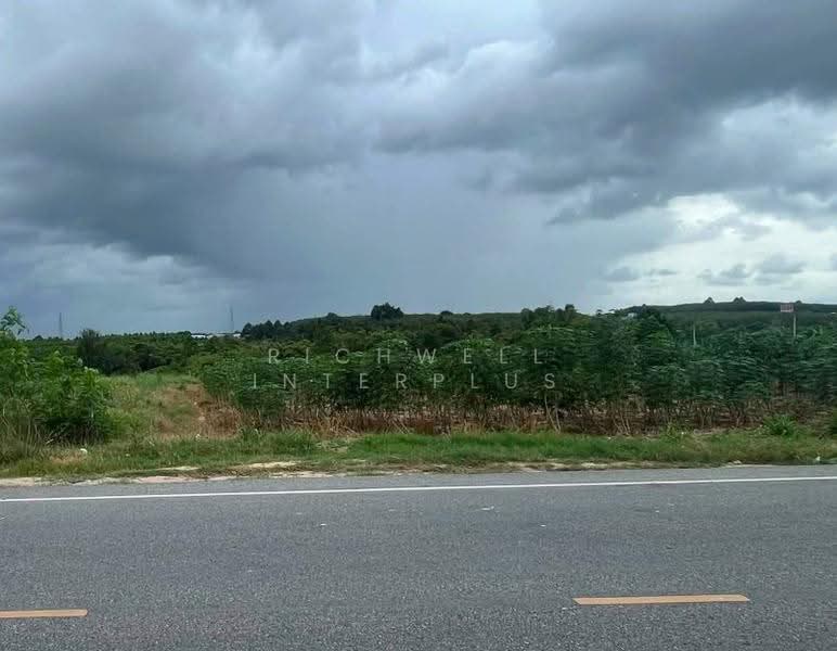 Land for sale (Purple Zone with white stripes) in Pluak Daeng, 3 Rai, Rayong, Mapyangphon, Pluak Daeng, Rayong, , 4,800 sqm, Land For Sale, by RICHWELL INTERPLUS, 500618710 - DDproperty.com