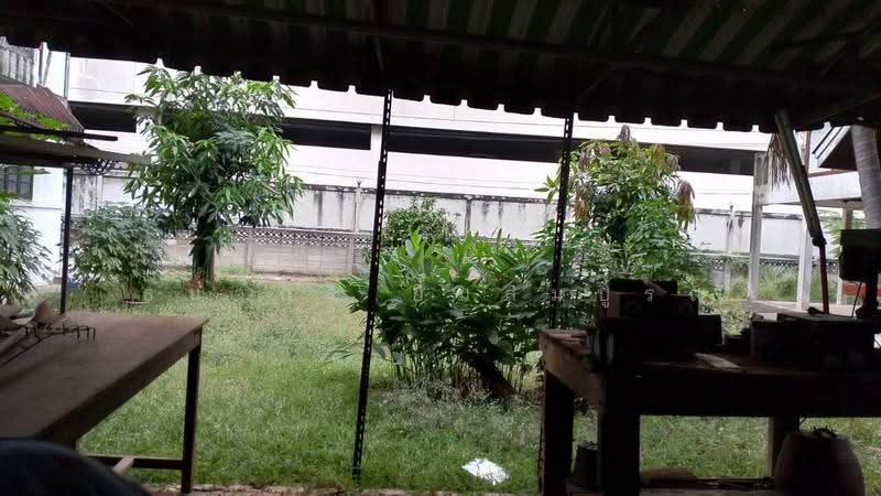 ขายที่ดินพร้อมสิ่งปลูกสร้างพื้นที่ 245 ตร.ว. ทำเลทองฝั่งธนฯ ตรงข้าม เซ็นทรัล & โลตัส ปิ่นเกล้า, Bangkok, Bang Bamru, Bang Phlat, Bangkok, , 980 sqm, Land For Sale, by ธนากร ยิ้มสมบูรณ์, 500618799 - DDproperty.com