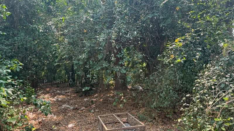 ที่ดินหางดง เชียงใหม่, Chiang Mai, Nong Tong, Hang Dong, Chiang Mai, , 1,584 sqm, Land For Sale, by The Best Property บอย, 500618801 - DDproperty.com
