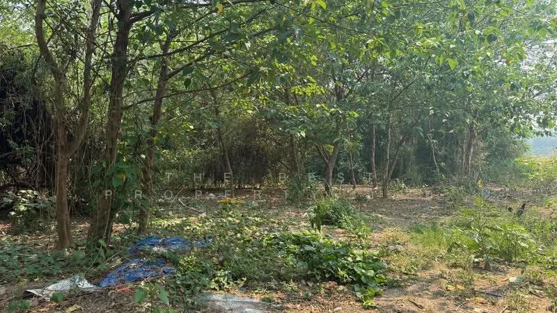 ที่ดินหางดง เชียงใหม่, Chiang Mai, Nong Tong, Hang Dong, Chiang Mai, , 1,584 sqm, Land For Sale, by The Best Property บอย, 500618801 - DDproperty.com