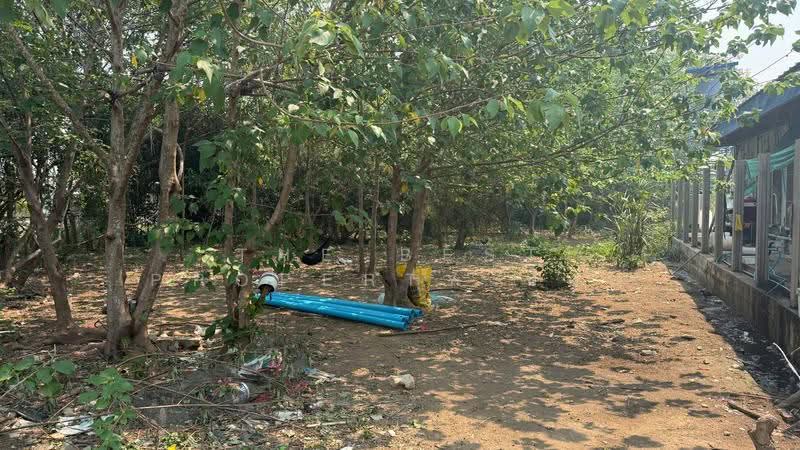 ที่ดินหางดง เชียงใหม่, Chiang Mai, Nong Tong, Hang Dong, Chiang Mai, , 1,584 sqm, Land For Sale, by The Best Property บอย, 500618801 - DDproperty.com