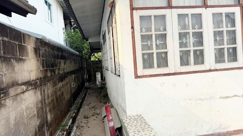 บ้านเดี่ยวช้างเผือก เชียงใหม่, Chiang Mai, Chang Phuak, Muang Chiang Mai, Chiang Mai, 3 Bedrooms, 200 sqm, Single Detached House For Sale, by The Best Property บอย, 500618879 - DDproperty.com