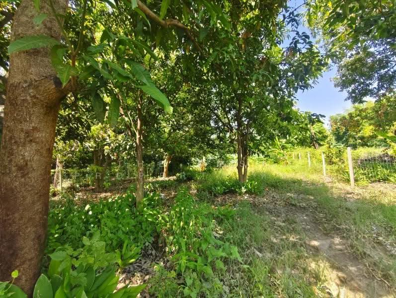 ที่ดินบ้านโป่ง ราชบุรี, Ratchaburi, Boek Phrai, Ban Pong, Ratchaburi, , 400 sqm, Land For Sale, by The Best Property หยก, 500618894 - DDproperty.com