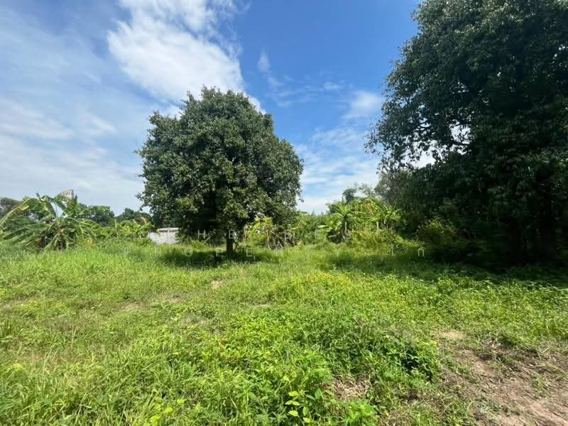 ที่ดินสามชุก สุพรรณบุรี, Suphan Buri, Yan Yao, Sam Chuk, Suphan Buri, , 3,572 sqm, Land For Sale, by The Best Property ไก่, 500618911 - DDproperty.com