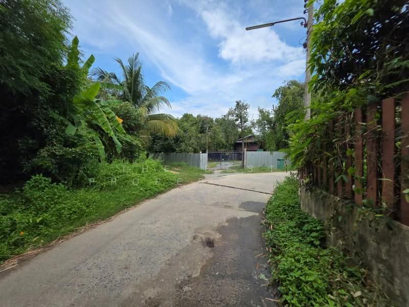 ที่ดินสามชุก สุพรรณบุรี, Suphan Buri, Yan Yao, Sam Chuk, Suphan Buri, , 3,572 sqm, Land For Sale, by The Best Property ไก่, 500618911 - DDproperty.com