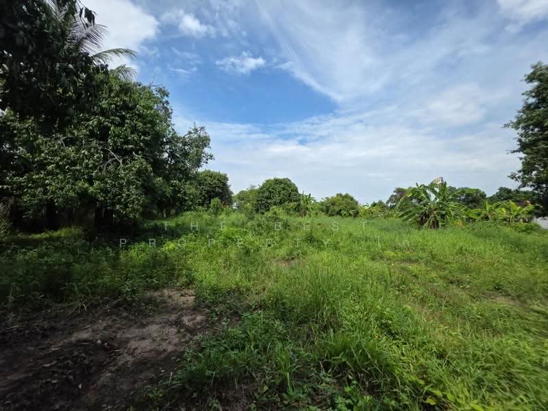 ที่ดินสามชุก สุพรรณบุรี, Suphan Buri, Yan Yao, Sam Chuk, Suphan Buri, , 3,572 sqm, Land For Sale, by The Best Property ไก่, 500618911 - DDproperty.com