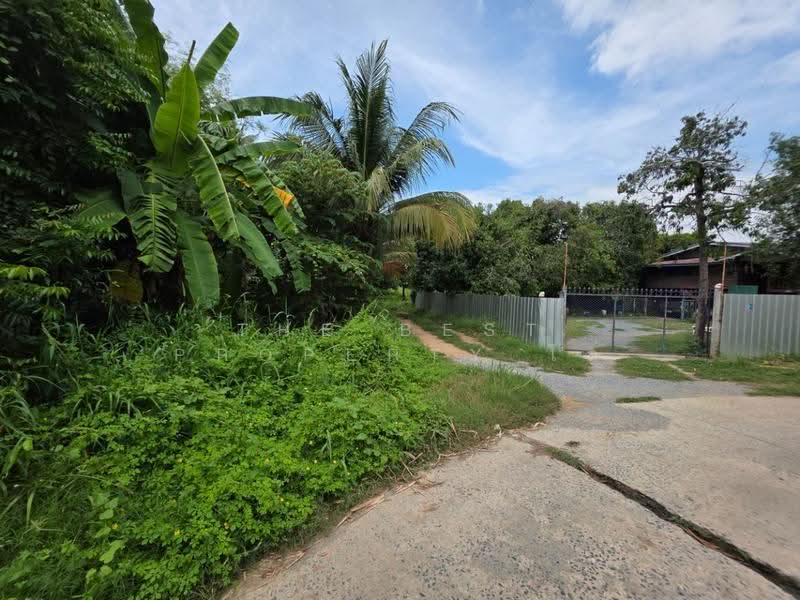 ที่ดินสามชุก สุพรรณบุรี, Suphan Buri, Yan Yao, Sam Chuk, Suphan Buri, , 3,572 sqm, Land For Sale, by The Best Property ไก่, 500618911 - DDproperty.com