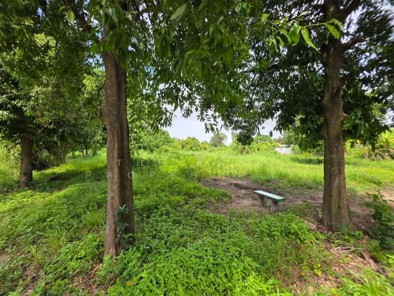 ที่ดินสามชุก สุพรรณบุรี, Suphan Buri, Yan Yao, Sam Chuk, Suphan Buri, , 3,572 sqm, Land For Sale, by The Best Property ไก่, 500618911 - DDproperty.com