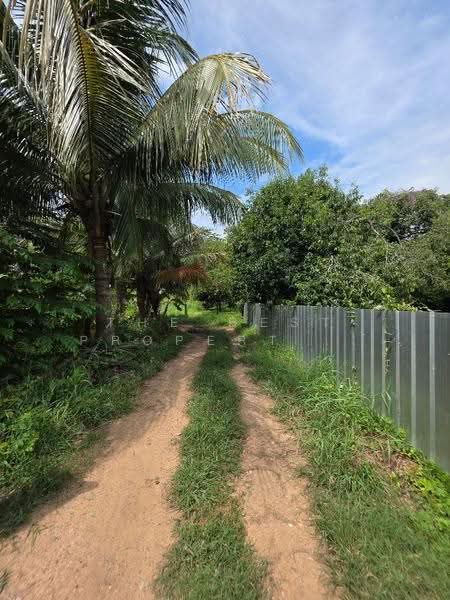 ที่ดินสามชุก สุพรรณบุรี, Suphan Buri, Yan Yao, Sam Chuk, Suphan Buri, , 3,572 sqm, Land For Sale, by The Best Property ไก่, 500618911 - DDproperty.com