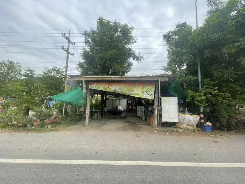 ที่ดิน 162 ตารางวา ติดถนนใหญ่ ท่าตะโก นครสวรรค์, Nakhon Sawan, Don Ka, Tha Tako, Nakhon Sawan, , 648 sqm, Land For Sale, by บริษัท เอชแอล แอสเซท จำกัด, 500618912 - DDproperty.com