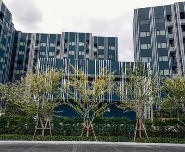 Chewathai Hallmark Ladprao-Chokchai 4, Bangkok, 959 Sangkhom Songkhor Road, Saphan Song, Wang Thonglang, Bangkok, 1 Bedroom, 27 sqm, Condo For Rent, by Natthaya Ninkhwan, 500619032 - DDproperty.com