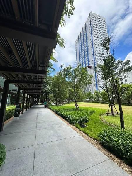 The Line Phahonyothin Park : เดอะ ไลน์ พหลโยธิน พาร์ค, กรุงเทพ, 1090 ถนนพหลโยธิน, จอมพล, จตุจักร, กรุงเทพ, 38 ตร.ม., คอนโด ให้เช่า, โดย Natthaya Ninkhwan, 500619056 - DDproperty.com