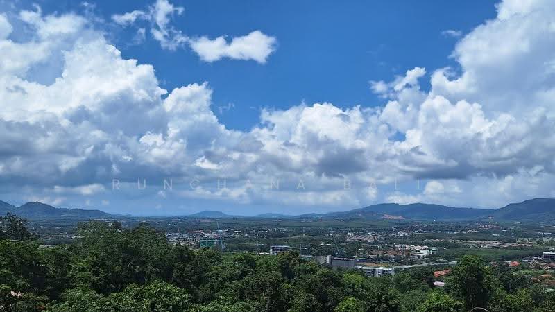 ที่ดิน 39 ไร่ ลายัน ภูเก็ต วิวทะเลและวิวเมือง, ภูเก็ต, เชิงทะเล, ถลาง, ภูเก็ต, 62,400 ตร.ม., ที่ดิน ขาย, โดย Runchana Ball, 500619233 - DDproperty.com