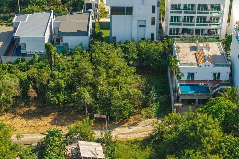 soi Saiyuan 9, Rawai, Phuket, Phuket, Rawai, Muang Phuket, Phuket, , 216 sqm, Land For Sale, by PATTICHA THEPVONG, 500619314 - DDproperty.com