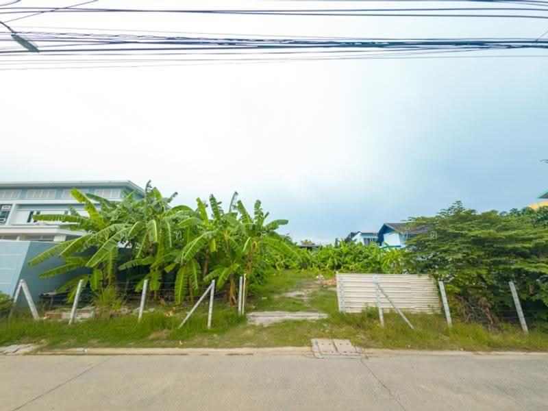 ที่ดินสุคนธสวัสดิ์ 14, Bangkok, สุคนธสวัสดิ์, Lat Phrao, Bangkok, , 800 sqm, Land For Sale, by อดิเทพ ภระมรทัต, 500619374 - DDproperty.com