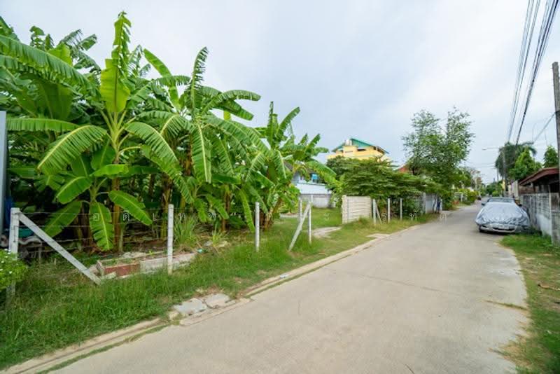 ที่ดินสุคนธสวัสดิ์ 14, Bangkok, สุคนธสวัสดิ์, Lat Phrao, Bangkok, , 800 sqm, Land For Sale, by อดิเทพ ภระมรทัต, 500619374 - DDproperty.com