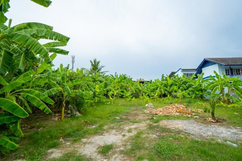 ที่ดินสุคนธสวัสดิ์ 14, Bangkok, สุคนธสวัสดิ์, Lat Phrao, Bangkok, , 800 sqm, Land For Sale, by อดิเทพ ภระมรทัต, 500619374 - DDproperty.com