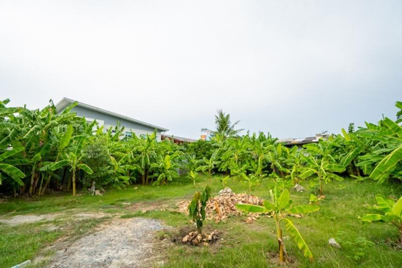 ที่ดินสุคนธสวัสดิ์ 14, Bangkok, สุคนธสวัสดิ์, Lat Phrao, Bangkok, , 800 sqm, Land For Sale, by อดิเทพ ภระมรทัต, 500619374 - DDproperty.com