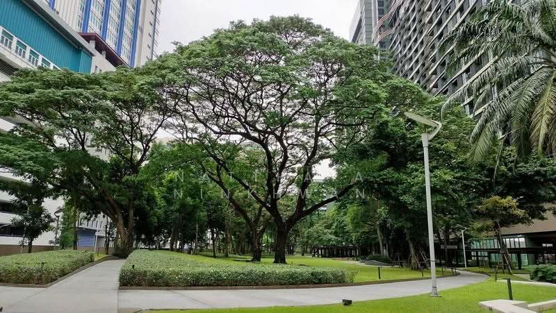 The Line Vibe, Bangkok, 414, Jom Phon, Chatuchak, Bangkok, 1 Bedroom, 37 sqm, Condo For Rent, by Natthaya Ninkhwan, 500619652 - DDproperty.com