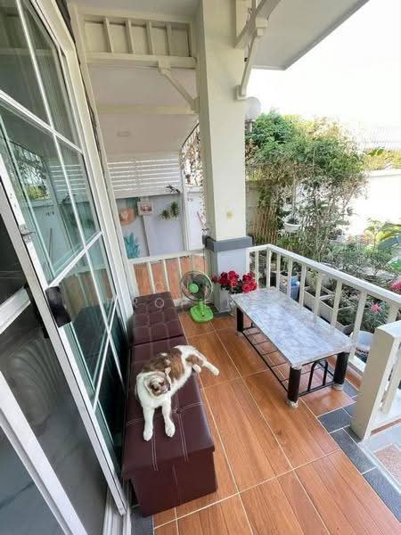 Chonlada Wat Lad Pla Duk, Nonthaburi, Bang Rak Yai, Bang Bua Thong, Nonthaburi, 3 Bedrooms, 21 sqm, Single Detached House For Sale, by Connex Property, 500619897 - DDproperty.com