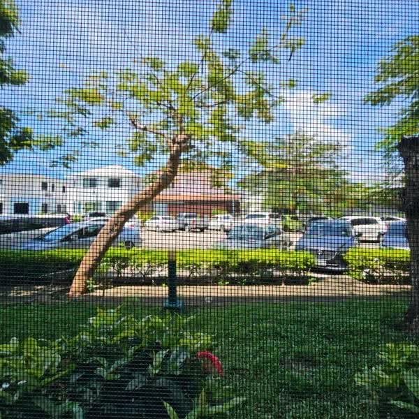 Baan Suan Lalana : บ้านสวนลลนา คอนโดมิเนียม, ชลบุรี, 444 ชัยพฤกษ์, หนองปรือ, บางละมุง, ชลบุรี, 40 ตร.ม., คอนโด ขาย, โดย Pukkawadee Thapmathi, 500619975 - DDproperty.com