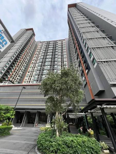 Life Asoke, Bangkok, Asoke-Dindang Road, Bang Kapi, Huai Khwang, Bangkok, 1 Bedroom, 30 sqm, Condo For Rent, by Dechatorn Chichaiyang, 500619983 - DDproperty.com