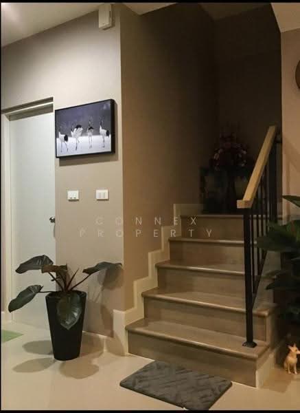 Verve Rama 5, Nonthaburi, Bang Si Mueang 1 Road, Bang Sri Muang, Muang Nonthaburi, Nonthaburi, 3 Bedrooms, 120 sqm, Townhouse For Sale, by Connex Property, 500620333 - DDproperty.com