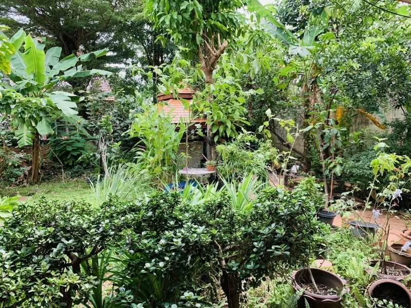 Prinyada Pinklao – Buddhamonthon 2, Bangkok, Bang Waek Road, Bang Phai, Bang Khae, Bangkok, 4 Bedrooms, 300 sqm, Single Detached House For Sale, by Connex Property, 500620411 - DDproperty.com