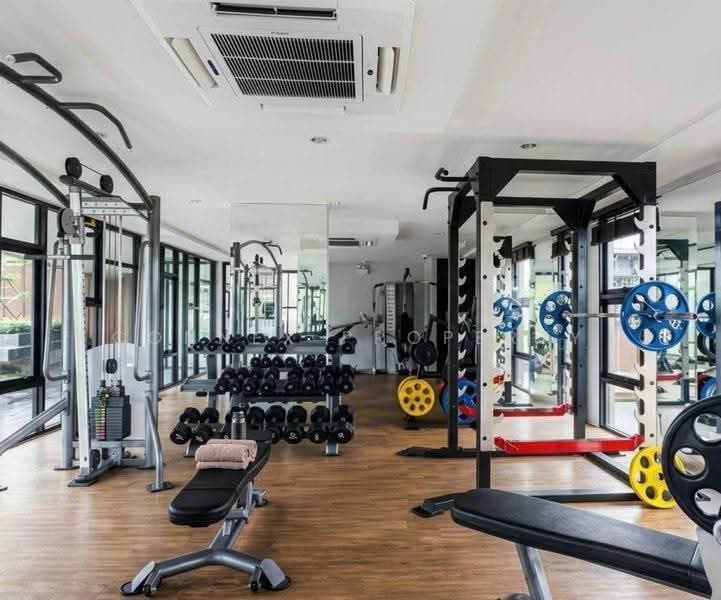 6th Avenue Surin : 6 อเวนิว สุรินทร์, ภูเก็ต, เชิงทะเล, ถลาง, ภูเก็ต, 36 ตร.ม., คอนโด ขาย, โดย Connex Property, 500620534 - DDproperty.com