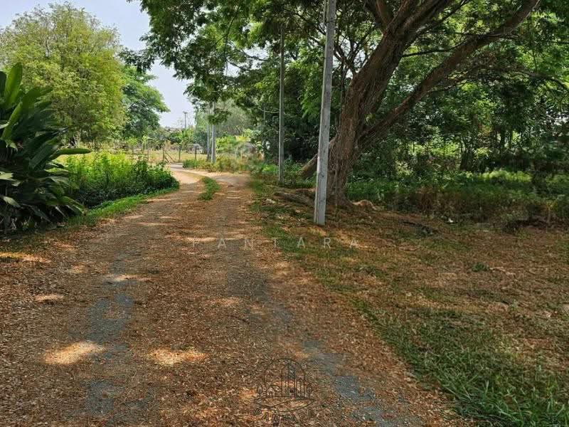 Chiang Mai, Chiang Mai, เชียงใหม่-ดอยสะเก็ด, Sa Luang Nua, Doi Saket, Chiang Mai, , 4,120 sqm, Land For Sale, by PANTARA, 500620535 - DDproperty.com
