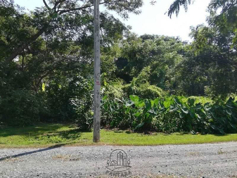 Chiang Mai, Chiang Mai, เชียงใหม่-ดอยสะเก็ด, Sa Luang Nua, Doi Saket, Chiang Mai, , 4,120 sqm, Land For Sale, by PANTARA, 500620535 - DDproperty.com