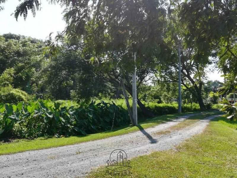 Chiang Mai, Chiang Mai, เชียงใหม่-ดอยสะเก็ด, Sa Luang Nua, Doi Saket, Chiang Mai, , 4,120 sqm, Land For Sale, by PANTARA, 500620535 - DDproperty.com