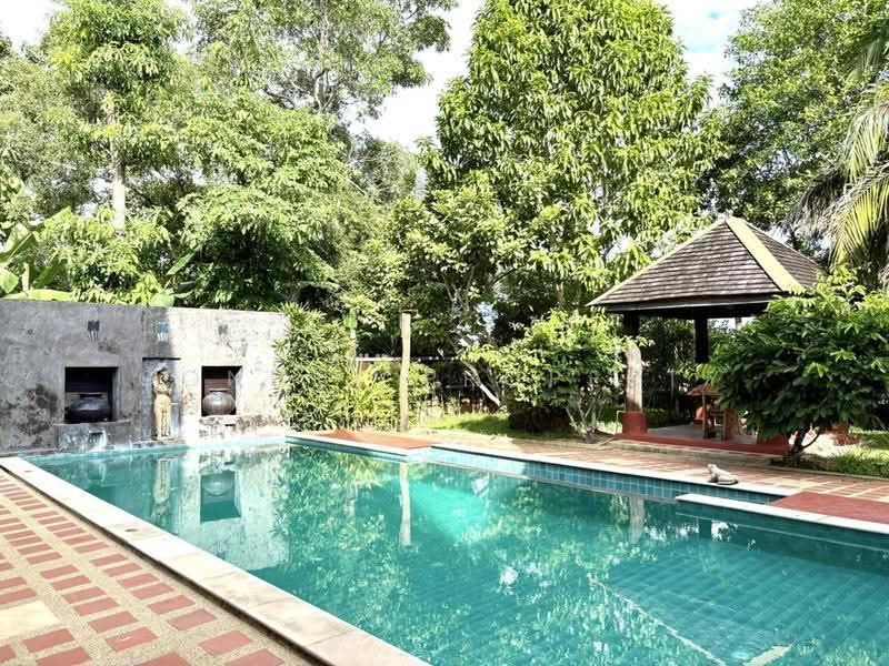 ภูเก็ต - ไทยเฮ้าส์, ภูเก็ต, ดอนจอมเฒ่า, เทพกระษัตรี, ถลาง, ภูเก็ต, 400 ตร.ม., บ้านเดี่ยว ให้เช่า, โดย Connex Property, 500620580 - DDproperty.com