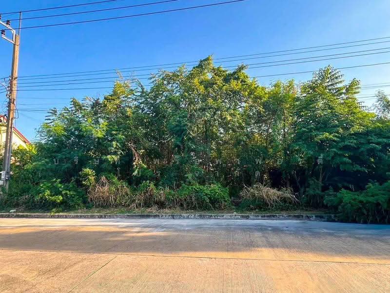 Flora Ville Park City Suwinthawong, Bangkok, Suwinthawong Road, Lam Phak Chi, Nong Chok, Bangkok, , 320 sqm, Land For Sale, by Property Pro Co.,Ltd, 500620732 - DDproperty.com