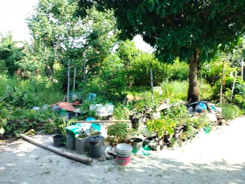 บ้านเดี่ยวพร้อมที่ดินห้วยกะปิ ชลบุรี, Chon Buri (Pattaya), Huai Kapi, Muang Chon Buri, Chon Buri (Pattaya), 2 Bedrooms, 100 sqm, Single Detached House For Sale, by The Best Property อ้น, 500620745 - DDproperty.com