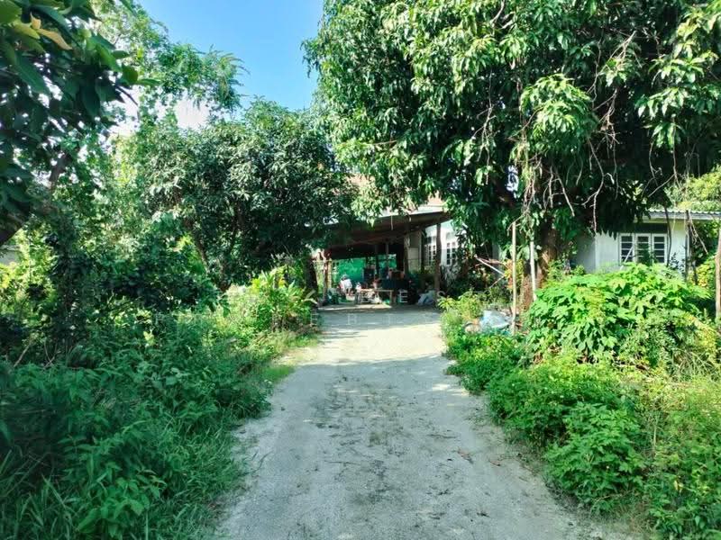 บ้านเดี่ยวพร้อมที่ดินห้วยกะปิ ชลบุรี, Chon Buri (Pattaya), Huai Kapi, Muang Chon Buri, Chon Buri (Pattaya), 2 Bedrooms, 100 sqm, Single Detached House For Sale, by The Best Property อ้น, 500620745 - DDproperty.com