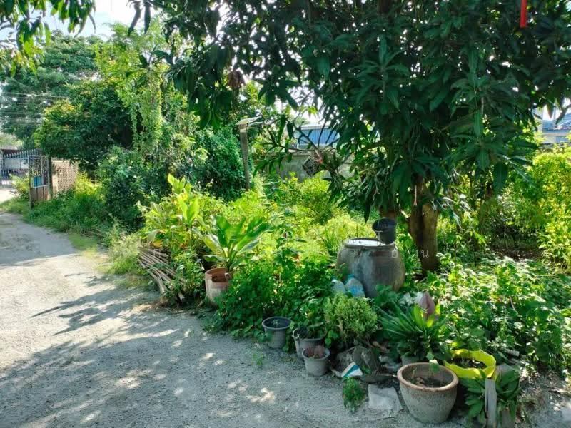 บ้านเดี่ยวพร้อมที่ดินห้วยกะปิ ชลบุรี, Chon Buri (Pattaya), Huai Kapi, Muang Chon Buri, Chon Buri (Pattaya), 2 Bedrooms, 100 sqm, Single Detached House For Sale, by The Best Property อ้น, 500620745 - DDproperty.com