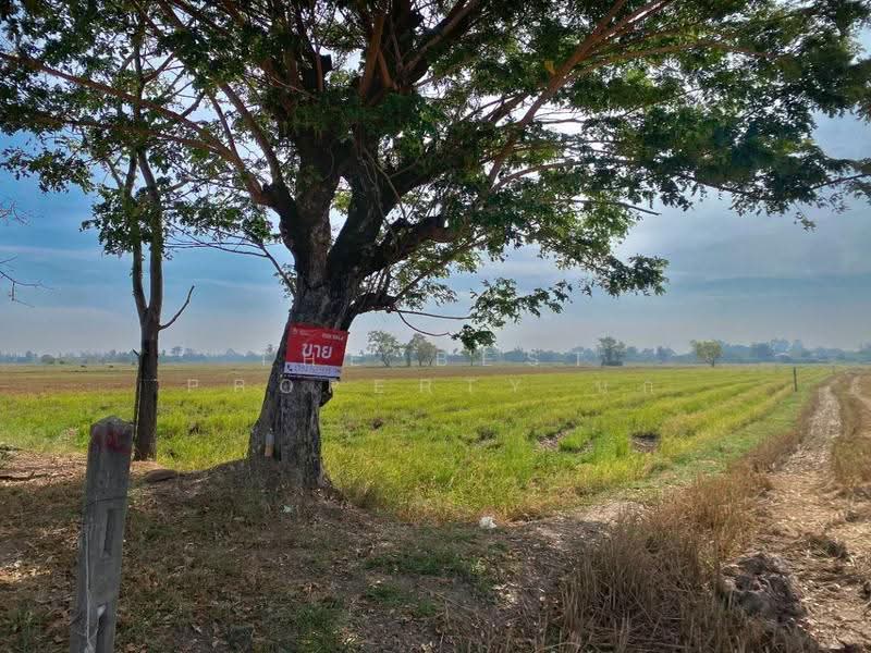 ที่ดินน้ำพอง ขอนแก่น, ขอนแก่น, ท่ากระเสริม, น้ำพอง, ขอนแก่น, 8,840 ตร.ม., ที่ดิน ขาย, โดย The Best Property นก, 500620766 - DDproperty.com