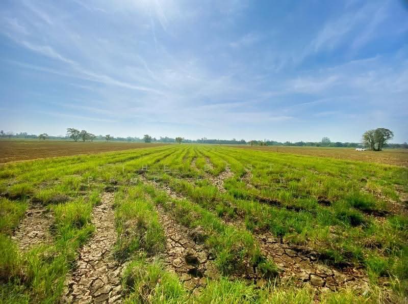 ที่ดินน้ำพอง ขอนแก่น, Khon Kaen, Tha Kra Soem, Nam Phong, Khon Kaen, , 8,840 sqm, Land For Sale, by The Best Property นก, 500620766 - DDproperty.com