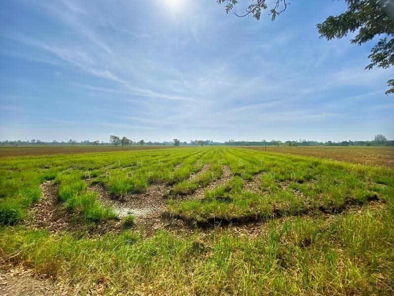 ที่ดินน้ำพอง ขอนแก่น, Khon Kaen, Tha Kra Soem, Nam Phong, Khon Kaen, , 8,840 sqm, Land For Sale, by The Best Property นก, 500620766 - DDproperty.com