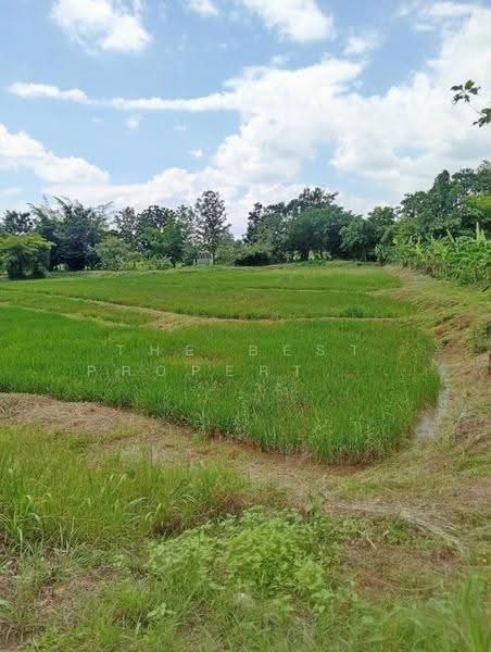 ที่ดินคอนสวรรค์ ชัยภูมิ, Chaiyaphum, Dong Bang, Khon San, Chaiyaphum, , 9,310 sqm, Land For Sale, by The Best Property ส้มโอ, 500620769 - DDproperty.com